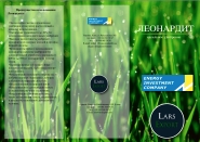 Дизайн буклетов