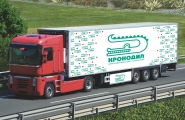 Крокодил