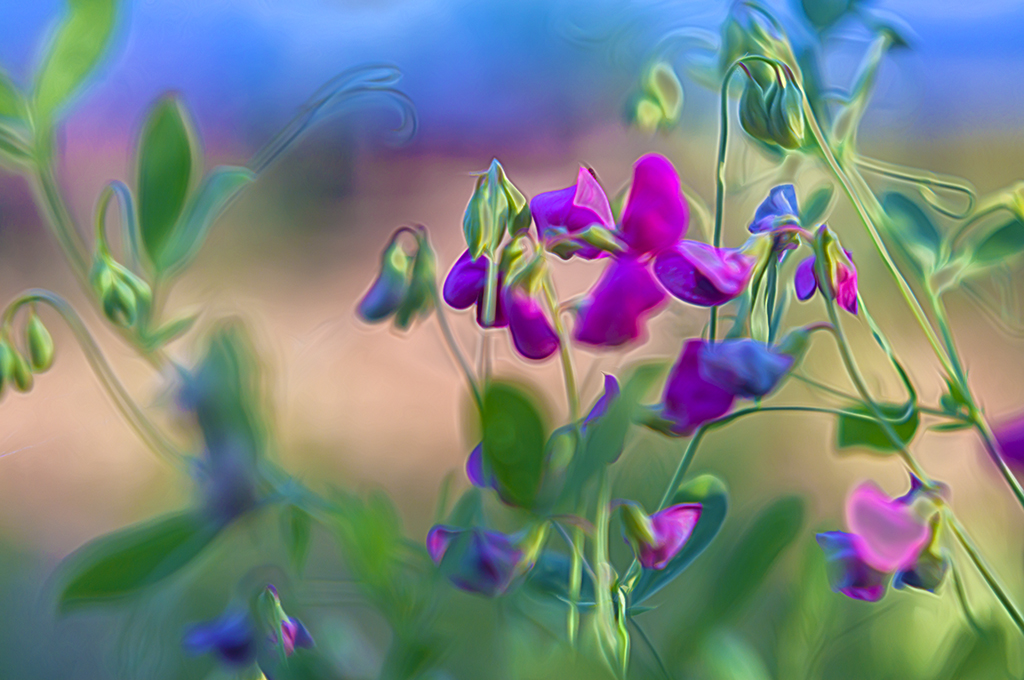 Etude #180619DSC5944.