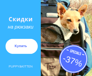 Продающий баннер для сайта сумок и переносок для животных