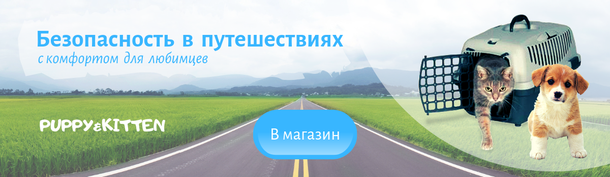 Продающий баннер для сайта сумок и переносок для животных