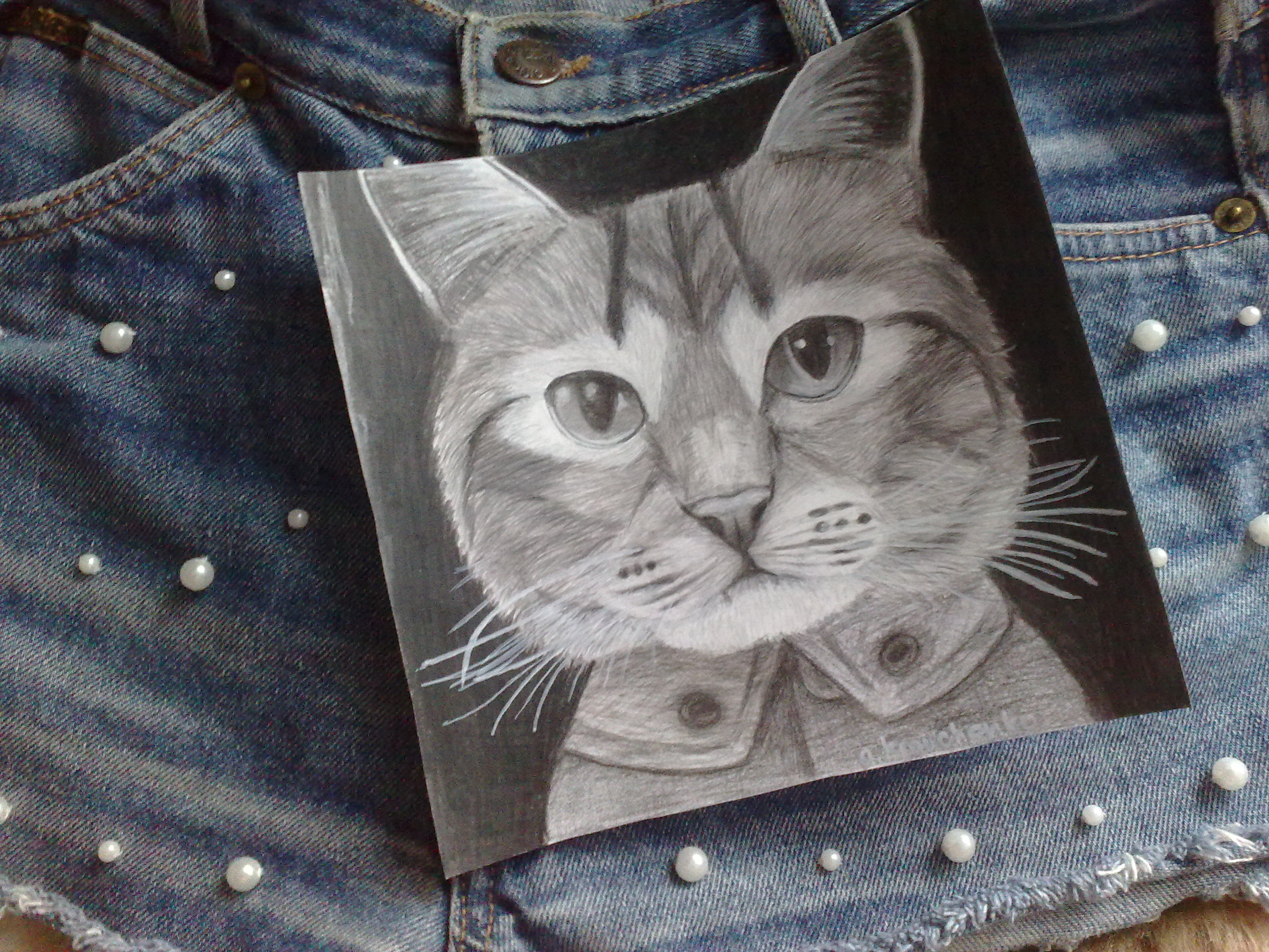 cat