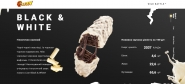 Landing Page для  TM Lion