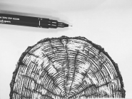 Art & Illustration