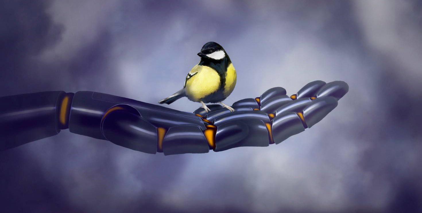 Fantasy illustration (Photoshop)