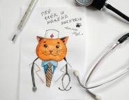Серия "Котоарт"
