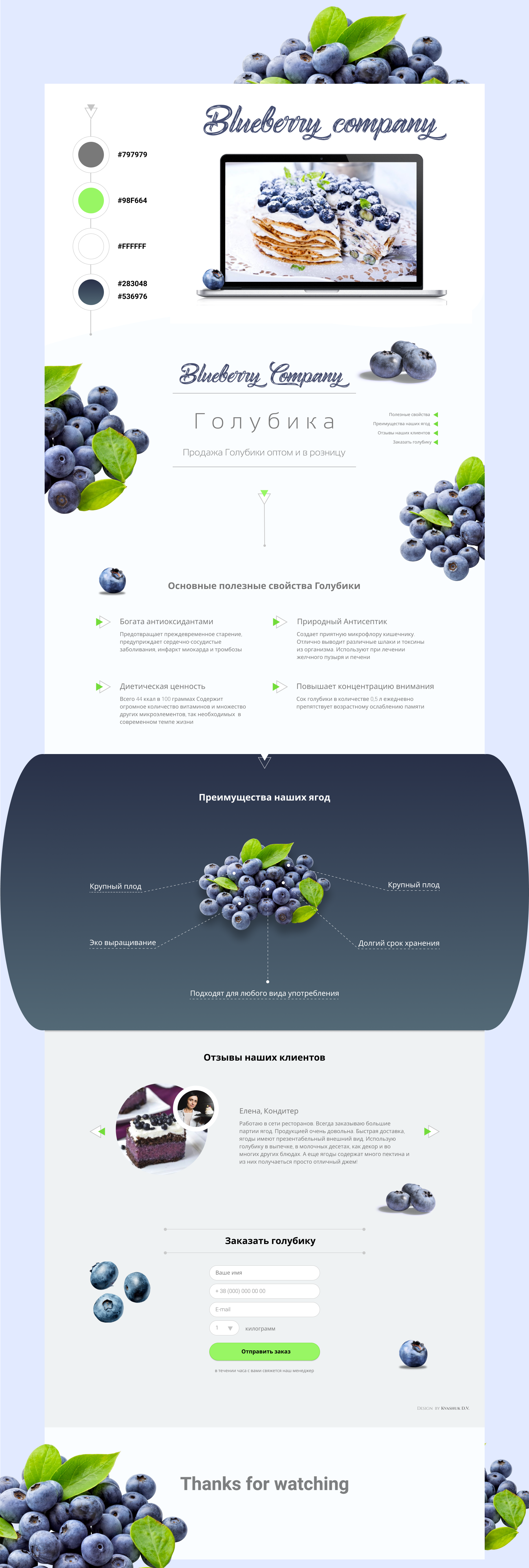 Landing - Blueberry Company