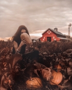 [PhotoProcessing] Pumpkin Farm