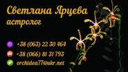 Визитка 4+0