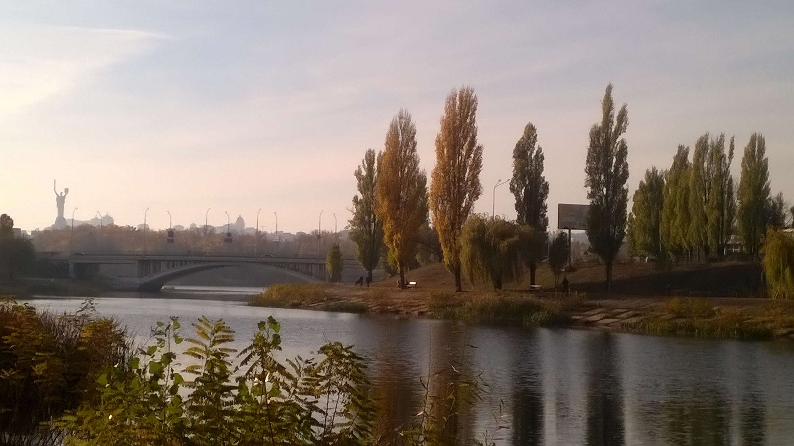тополи