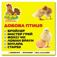 Баннер