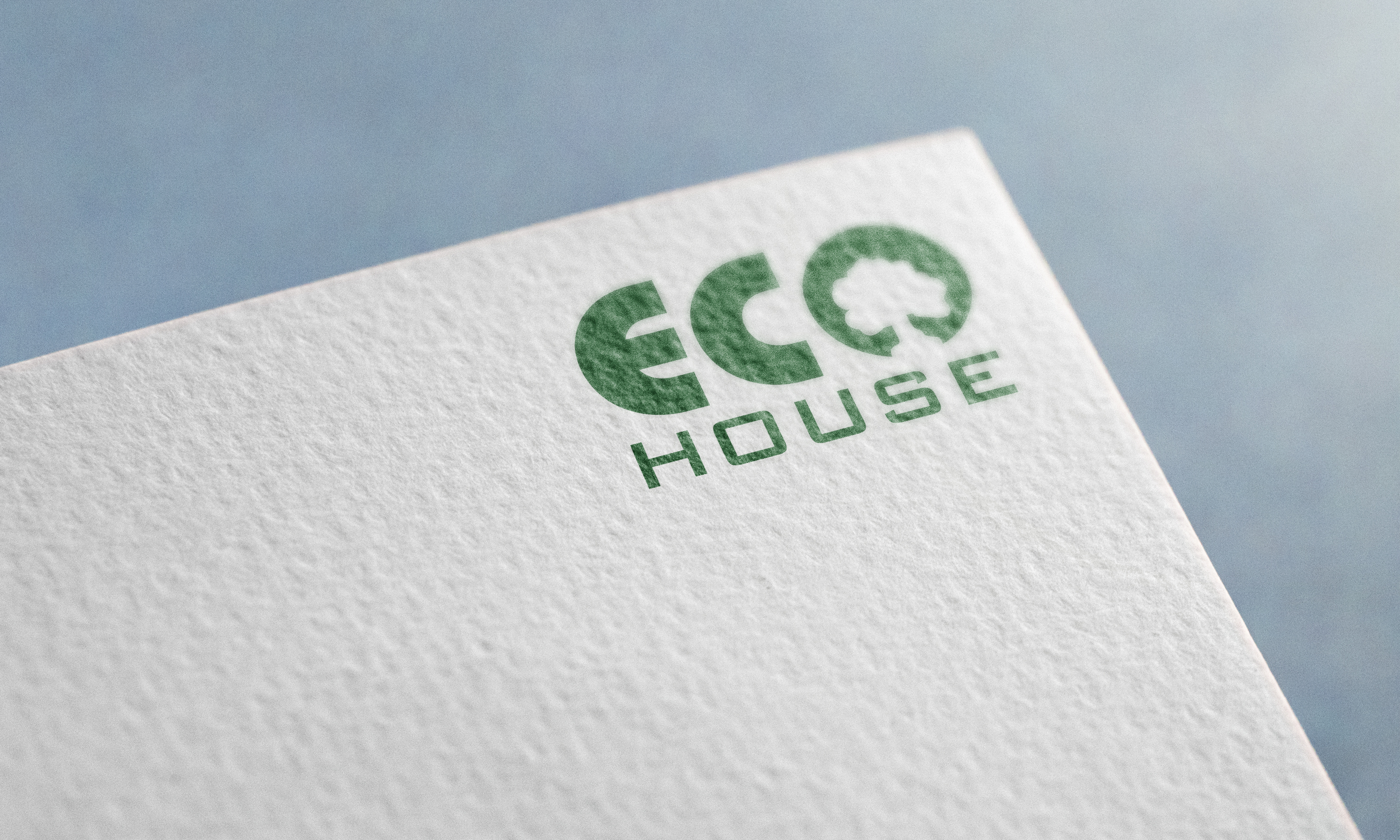 Eco house