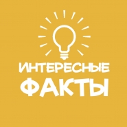 Без имени-2.jpg