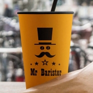 Mr Barister