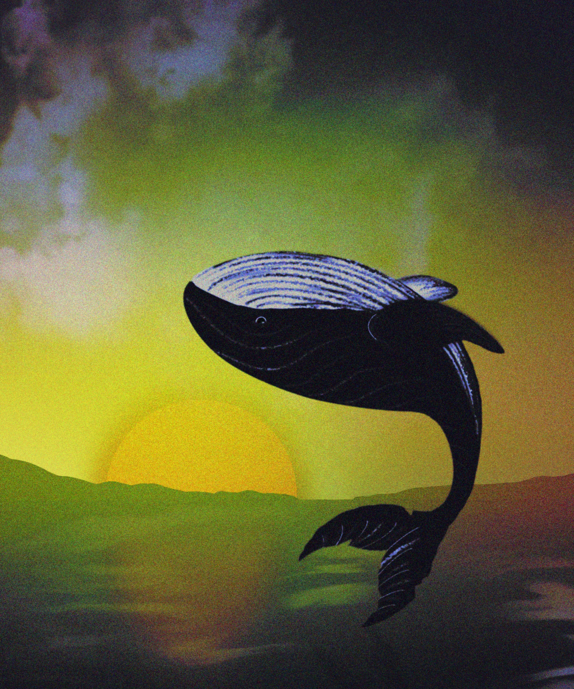 Whale