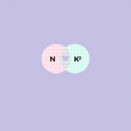 Логотип NK