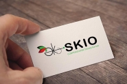 Логотип "Eko SKIO"