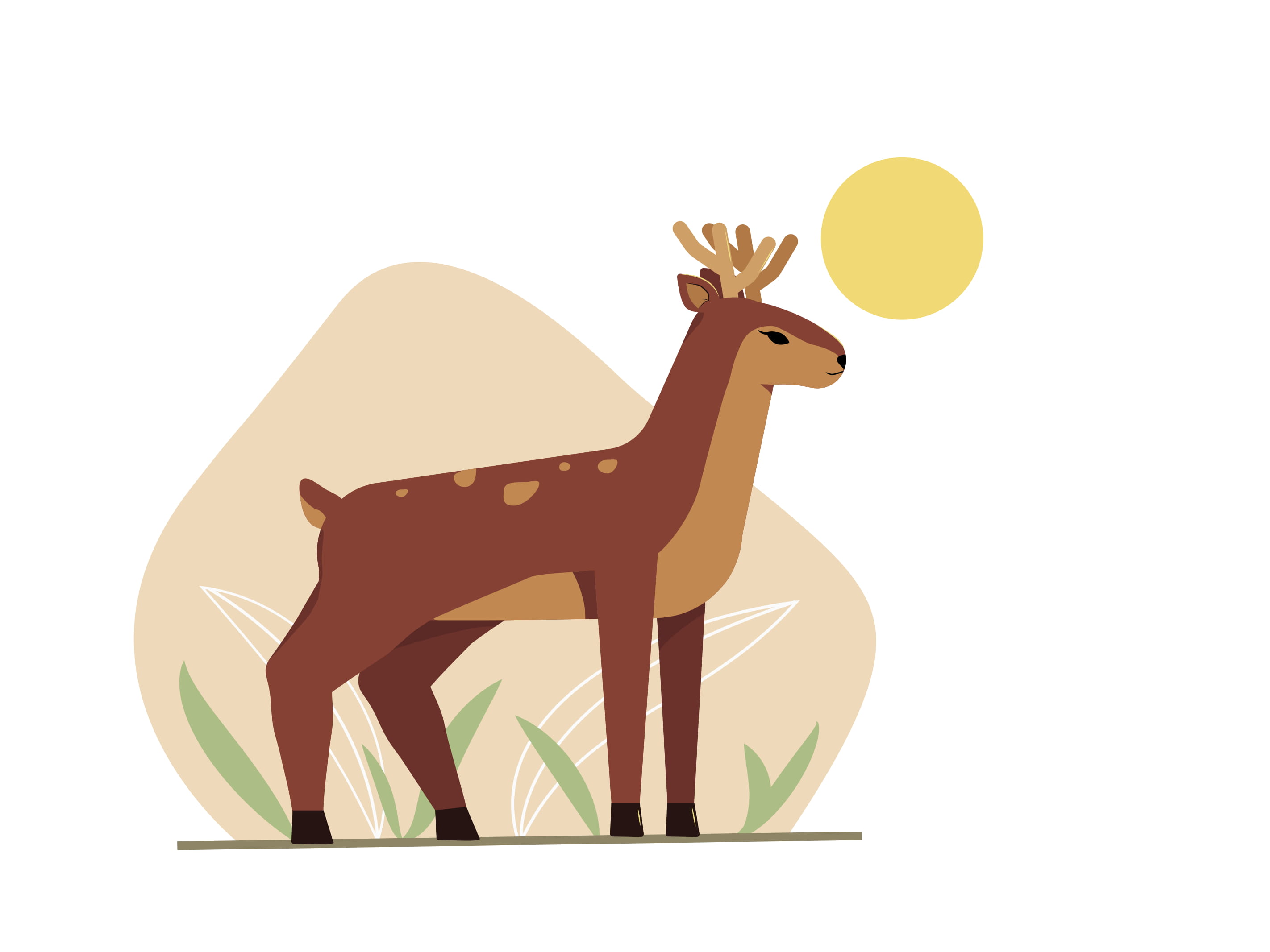 deer