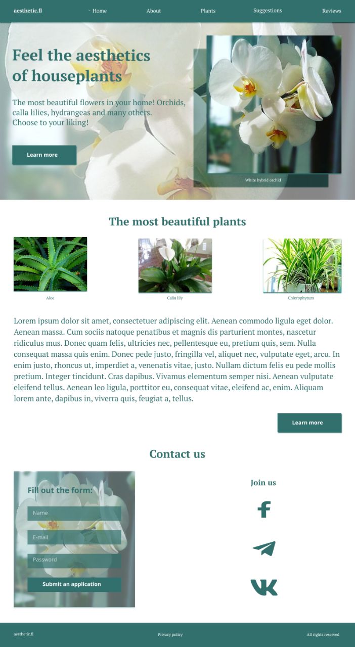 Aesthetics of flowers