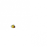 flappy bird