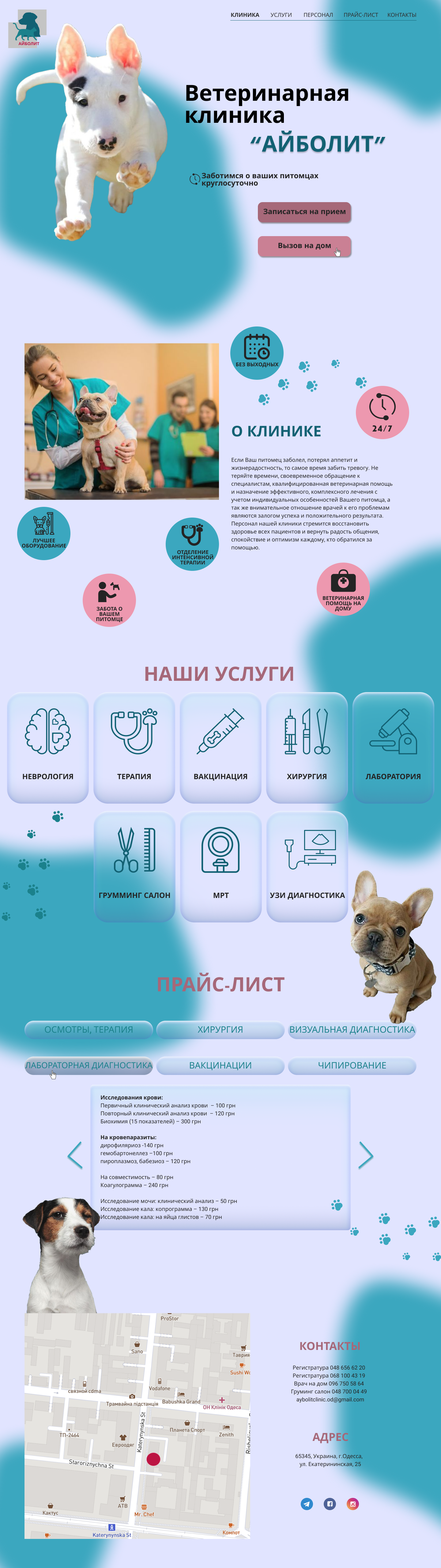 landing page for veterinary clinic "Айболит"