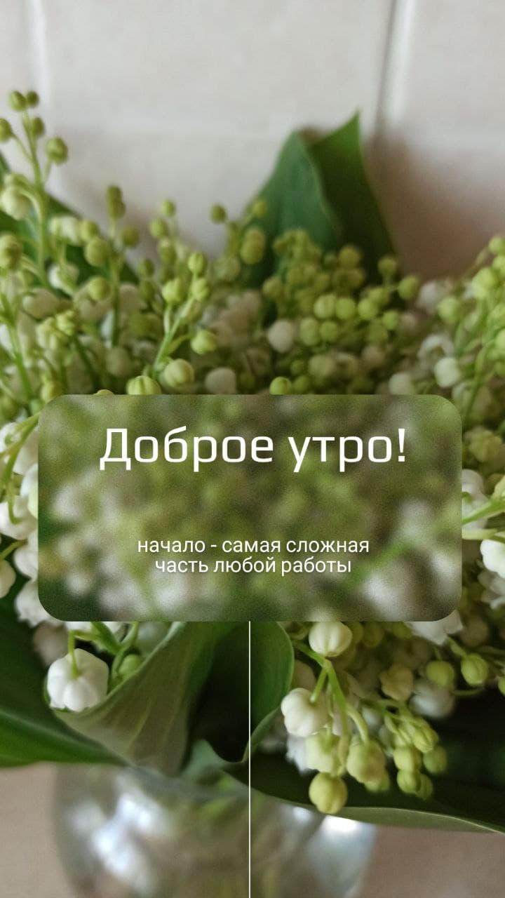 портфолио сторимейкер