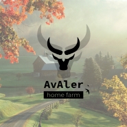 AvAler