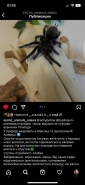 SMM у Інстаграмі