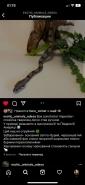 SMM у Інстаграмі