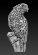 Parrot