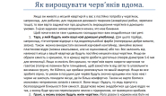 Як вирощувати черв'яків вдома