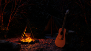 Acoustic guitar Yamaha F310