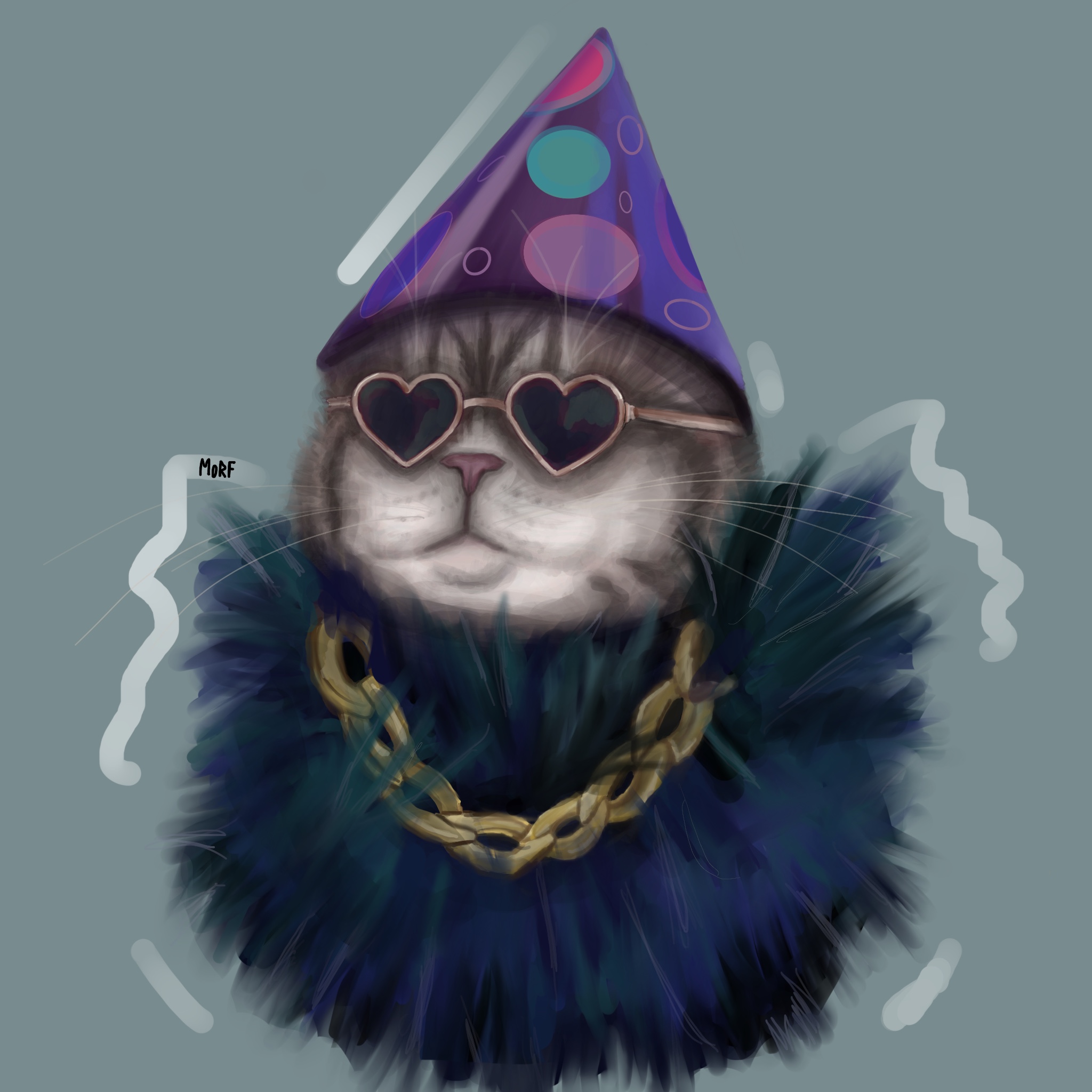 Котик