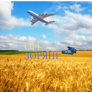 СФГ.png